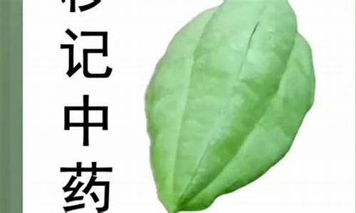 川贝能治什么病?-川贝抑菌液的作用和功效