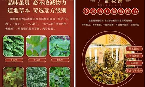 中药七十二风的种类-瑶族秘方七十二风草本抑菌液