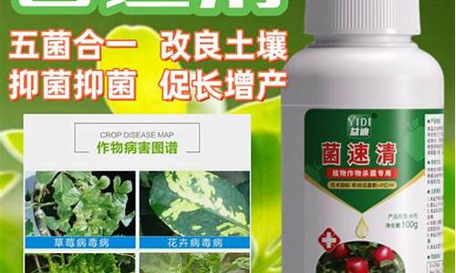 木植植物草本抑菌液孕妇可以用吗为什么-植物草本孕妇可以用吗?