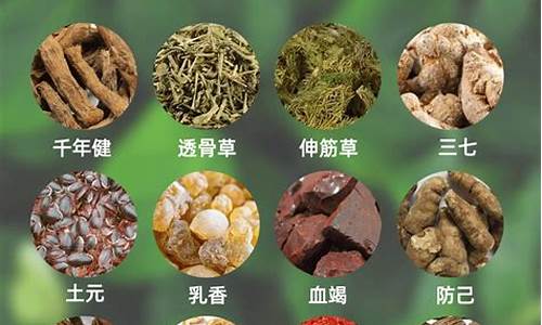 红花三七的功效与作用-赵氏红花三七草本抑菌液